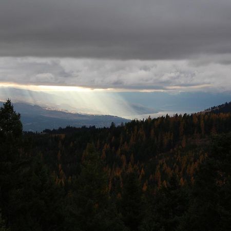 Wild Nature B&B Kelowna Eksteriør bilde