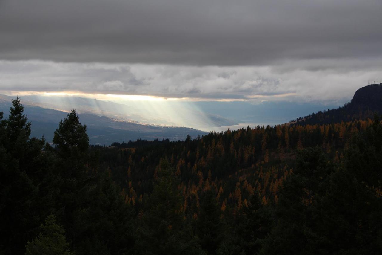 Wild Nature B&B Kelowna Eksteriør bilde